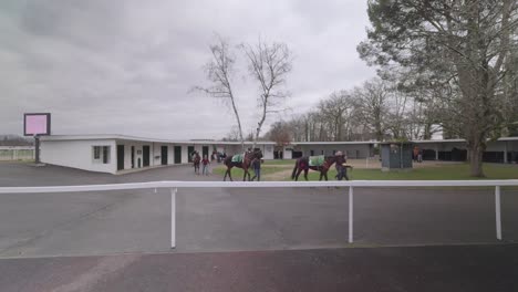 Horses-leaving-their-stalls-before-a-horse-racing-venue