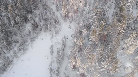 A-Man-Skiing-Cross-Country-with-His-Dog---Bird's-Eye-View