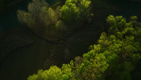 Lush-greenery-around-Lake-Sequoyah,-AR,-USA,-with-a-tranquil-river,-aerial-view