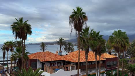 Tropical-view-from-balcony,-palm-tree-and-beach-huts-Los-Cristianos-Tenerife