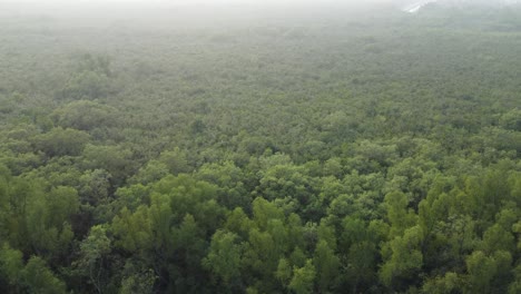 Luftaufnahme-Von-Sundarban,-Einem-Der-Größten-Tigerreservate-Asiens