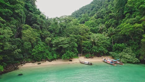 Luftaufnahme-Von-Oben-Auf-Die-Bucht-Von-Kian-Bay,-Umgeben-Von-üppigen-Grünen-Bäumen-Auf-Einer-Tropischen-Insel-Koh-Yao-Noi-In-Thailand
