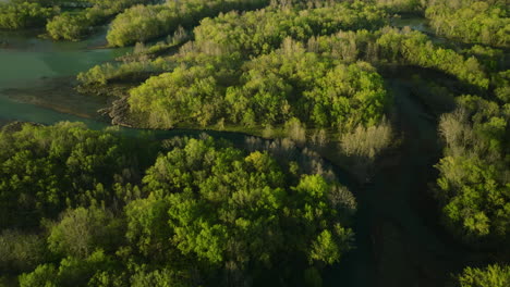 Sonnenaufgang-über-Dem-Lake-Sequoyah,-Der-Goldenes-Licht-Auf-üppiges-Grün-Wirft,-Luftaufnahme