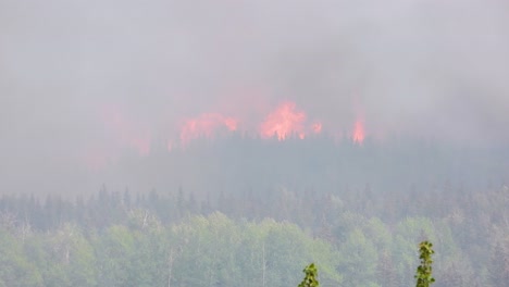 Wildfire---Destructive-Fire-Burning-The-Forest-In-Fox-Creek,-Alberta,-Canada