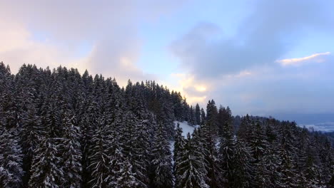 Luftaufnahme-Eines-Waldes-Bei-Starkem-Schneefall