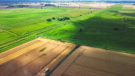 Aerial-Footage-Of-Ripe-Wheat-Field-Nature-Scenery-In-Summer-Field