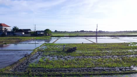 Revealing-Aerial-shot-of-a-Rice-field-farmer-using-Hand-Tractor-near-Seseh,-BALI---Indonesia