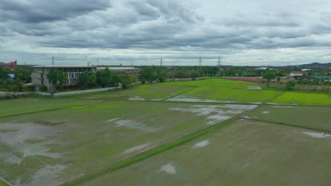 Aerial-Drone-Descending-Over-Rice-Paddy-Fields-with-Water-and-Navela-Hotel-in-Ratchaburi-Province,-Thailand