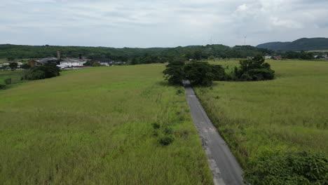 Un-Pequeño-Y-Sinuoso-Camino-En-La-Selva-Rural-De-Jamaica.