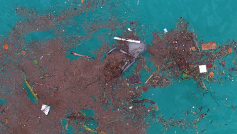 Primer-Plano-De-Arriba-Hacia-Abajo-De-Una-Silla-De-Playa-De-Plástico-Rota-Y-Restos-De-Hojas-Naturales-Flotando-En-El-Agua-Del-Océano