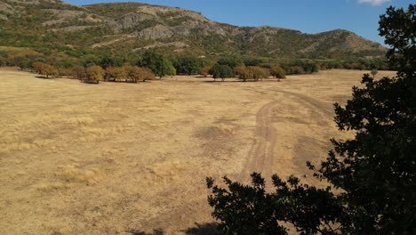 Remote-Nature-Landscape-With-Plains-And-Dense-Trees-Down-The-Mountainscape