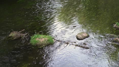 Blick-Auf-Den-Fluss-Ahja.-Steine-Im-Wasser