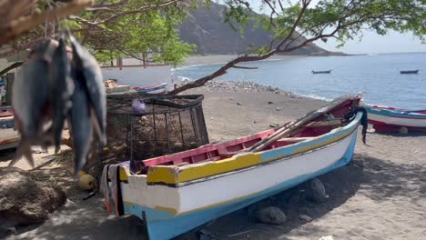 Rack-focus-from-boat-to-fish-catch-hanging-from-tree