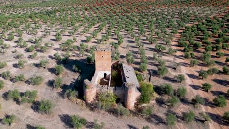 Drohnenansicht-Des-Historischen-Schlossgebäudes-Inmitten-Eines-Olivenhains-Mit-Grünen-Blättern,-Die-An-Einem-Sommertag-In-Der-Sonne-Liegen