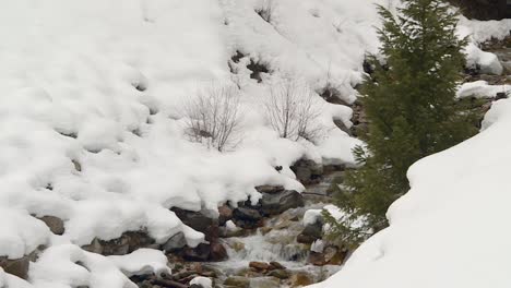 Felsiger-Fluss,-Der-Im-Winter-Durch-Schneebedeckte-Berge-Fließt