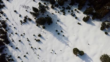 Iezer-Papusa-Berge-Mit-Schnee-Und-Vereinzelten-Bäumen,-Tagsüber,-Luftaufnahme
