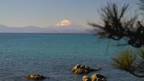 Stunning-scenery-of-Mount-Fuji-with-ocean-and-softly-waving-pine-tree-branch