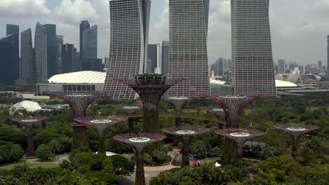 Gardens-by-the-Bay-in-Singapore-with-Panning-Shot-Revealing-Marina-Bay-Sands-Hotel