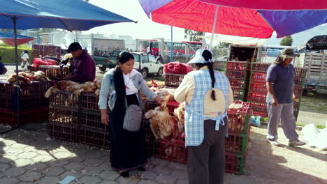 Geschäftige-Marktszene-In-Otavalo,-Ecuador-Mit-Händlern,-Die-Hühner-Verkaufen,-Farbenfrohe-Sonnenschirme-über-Dem-Kopf