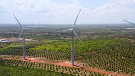 Luftaufnahme-Eines-Windventilators-Inmitten-Einer-Grünfläche-Mit-Palmen,-Ceará,-Brasilien