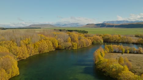 Lake-shore-filled-with-yellow-colored-trees-during-fall-season-at-Twizel,-NZ