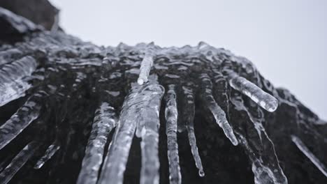 Close-up-of-icicles-hanging-off-a-dark-rocky-surface-with-a-blurred-background