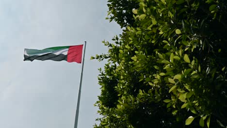 La-Bandera-De-Los-Emiratos-Árabes-Unidos-Ondea-Con-Gracia-Entre-Exuberantes-árboles-Verdes-En-La-Cornisa-De-Abu-Dhabi,-Encarnando-El-Concepto-De-Un-Futuro-Verde-En-Los-Emiratos-Árabes-Unidos.