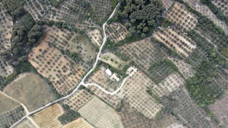 Panoramic-aerial-overview-across-Les-Baux-de-Provence-France-vineyard-and-orchards-with-winding-dirt-road
