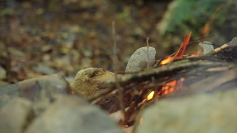 Campfire-burning-away-in-cozy-forest-scene,-4k-close-pan-shot