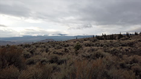 Where-Earth-Meets-Sky:-The-Vast-Meadows-of-Kamloops