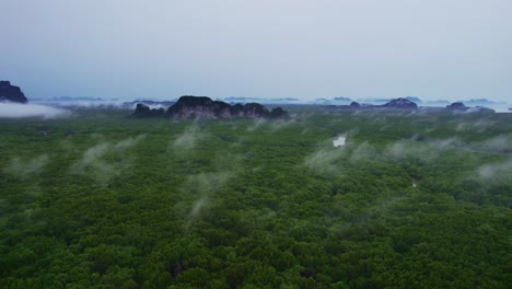Vista-Aérea-De-Exuberantes-Manglares-Con-Parches-De-Nubes-Colgando-Sobre-La-Bahía-De-Phang-Nga,-Tailandia