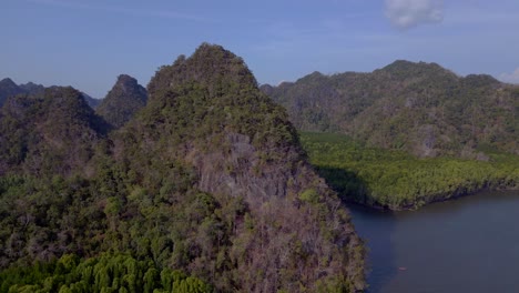 Manglares-Río-Colinas-Malasia-Langkawi