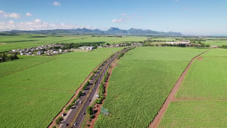 Lush-sugarcane-fields-alongside-a-highway-in-Mauritius,-with-a-clear-blue-sky