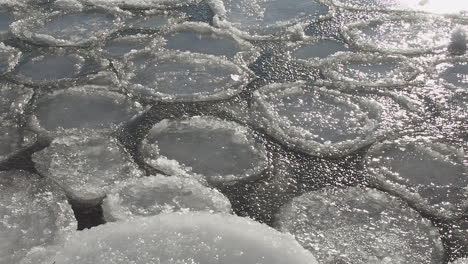 Winter-nature-monochrome:-White-ice-pans-float-on-frozen-sea-surface