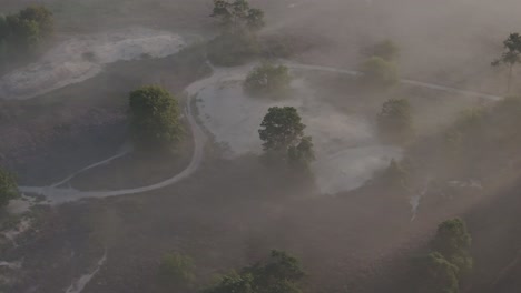 Aerial-view-of-rich-full-purple-colors-of-the-heather-in-early-morning,-Netherlands