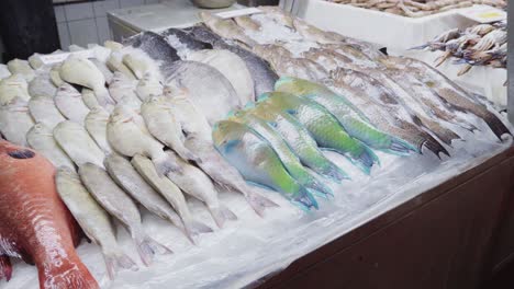 Primer-Plano-De-Pescado-Crudo-Fresco-Y-Colorido-En-Hielo-En-El-Mostrador-Del-Antiguo-Mercado-De-Pescado-En-Jeddah,-Arabia-Saudita