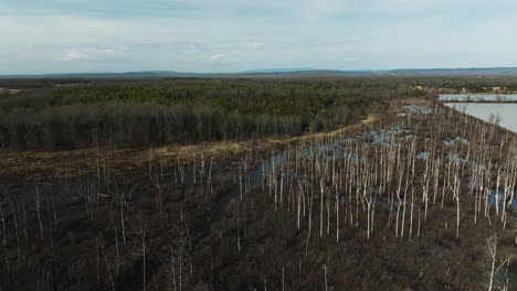 Point-remove-wildlife-area,-blackwell,-ar,-with-leafless-trees-and-wetlands,-aerial-view