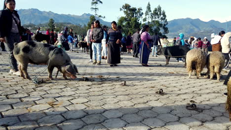 Concurrida-Escena-De-Mercado-En-Otavalo,-Ecuador-Con-Lugareños-Y-Una-Oveja,-A-La-Luz-Del-Día,-Vibrante-Cultura-Local.