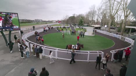 Público-Observando-Los-Caballos-Que-Competirán-En-La-Próxima-Carrera-De-Caballos.