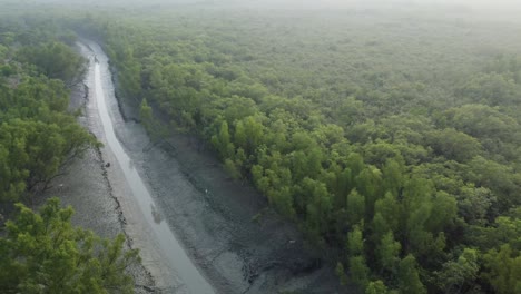Luftaufnahme-Von-Sundarban,-Einem-Der-Größten-Tigerreservate-Asiens