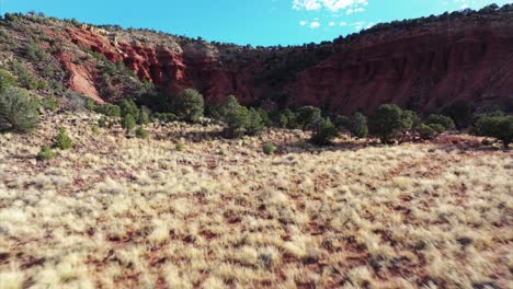 Drones-Volando-A-Baja-Altitud-Sobre-Coloridos-Prados-De-Hierba-Con-Montañas-Rojas-En-El-Fondo,-Parque-Nacional-Capitol-Reef-En-Utah,-Estados-Unidos