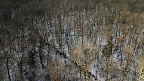 Snow-dusted-trees-in-mount-sequoyah,-arkansas,-with-winter's-touch,-aerial-view