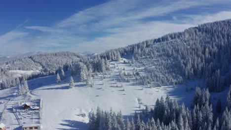 Vista-Aérea-Invernal-De-Las-Montañas-De-Bucegi,-Pinos-Cubiertos-De-Nieve-Bajo-Un-Cielo-Azul