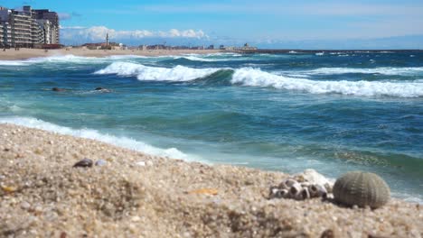 Playa-Con-Olas-Del-Mar-Al-Fondo