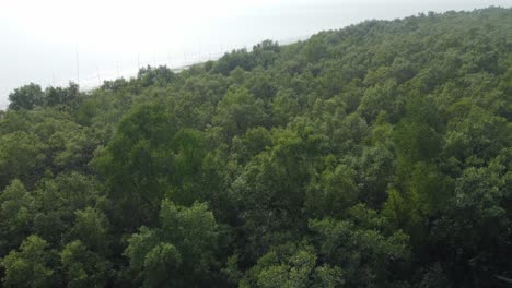 Luftaufnahme-Von-Sundarban,-Einem-Der-Größten-Tigerreservate-Asiens