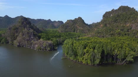 Boot-Mangroven-Fluss-Hügel-Malaysia-Langkawi