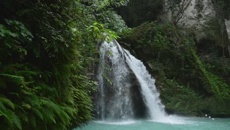 Establishing-static-shot-of-Kawasan-Falls-in-Phillippines,-slow-motion-water-in-forest