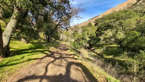 POV-Aufnahme-Eines-Spaziergangs-Auf-Einem-Naturpfad-Im-Hochland-Von-Kalifornien,-Im-Sonnigen-USA