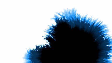 Splashes-and-spots-of-blue-cobalt-ink-spreading-on-white-background