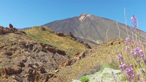 Mount-Teide-peak-in-a-sunny-summer-day,-Canary-Islands,-Tenerife,-Spain